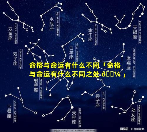 命格与命运有什么不同「命格与命运有什么不同之处 🐼 」